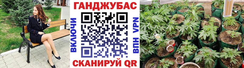 Шишки марихуана Amnesia  Волжский 